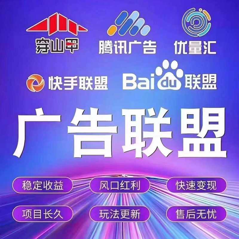 解锁流量变现的无限可能